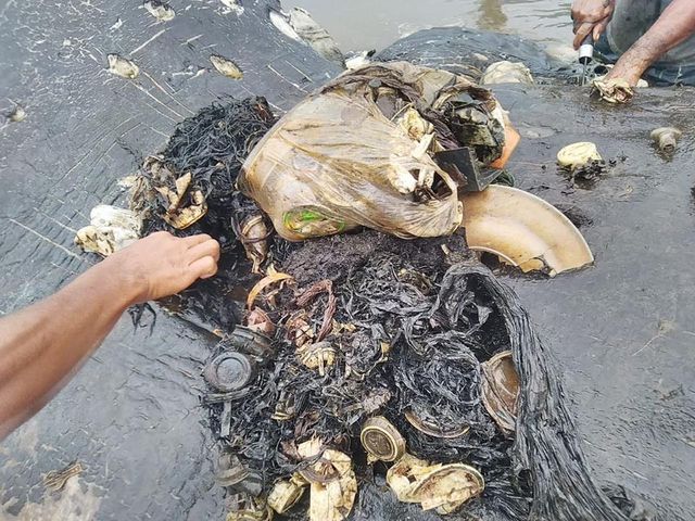 Verres, gobelets, sacs en plastique ont servi de repas à l'animal.