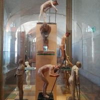 Musée du service de santé des armées, Paris, moules en plâtre