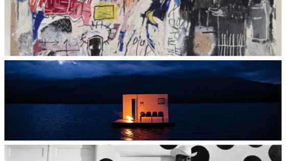 de haut en bas : "Basquiat" (© Estate of Jean-Michel Basquiat. Licensed by Artestar. New York. © Marc Domage), "Persona Grata" ( Enrique Ramirez, "La Casa", ©Adagp, Paris, 2018) et © Joel Meyerowitz.