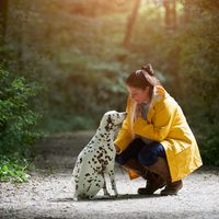 Un bon maître est-il capable de détecter les émotions de son animal ?