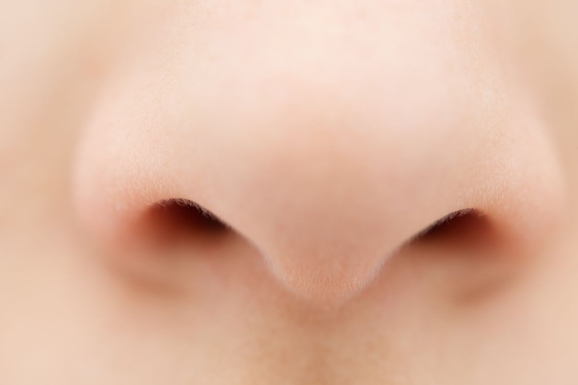 L Arme Du Nez Contre Les Bacteries L Arme Du Nez Contre Les Bacteries
