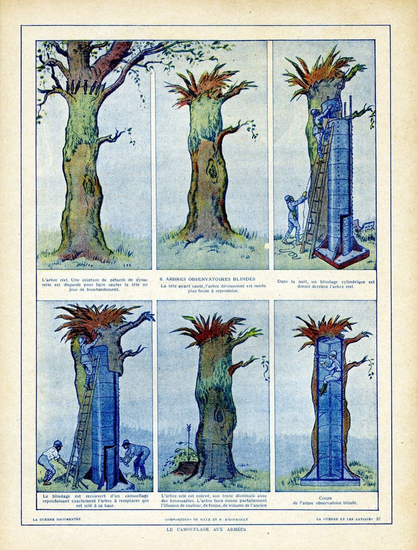 Le camouflage dans les arbres