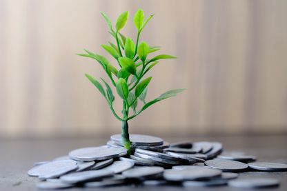 Jeune plante Jeune plante