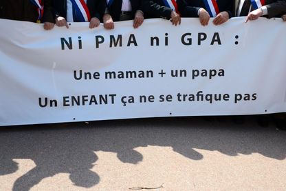 Manifestation contre la PMA et la GPA à Lyon, le 05 mai 2013. Manifestation contre la PMA et la GPA à Lyon, le 05 mai 2013.