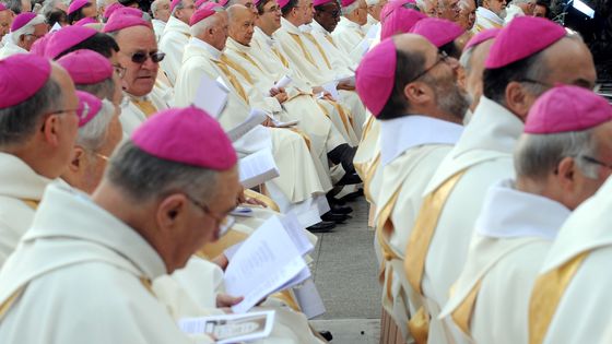 Des évêques s'apprêtent à concélébrer la messe de clôture de la Conférence des évêques de France à l'issue de leur assemblée plénière, le 9 novembre 2008, devant la grotte de Massabielle à Lourdes. ©AFP - ERIC CABANIS