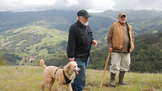 Jim Harrison et Gary Snyder - John J. Healey