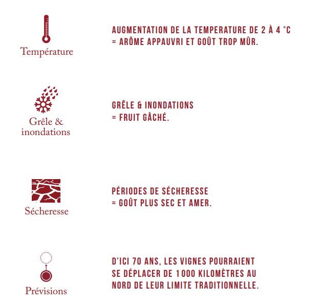 Conditions climatiques en 2050 dans le Bordelais et conséquences sur le vin