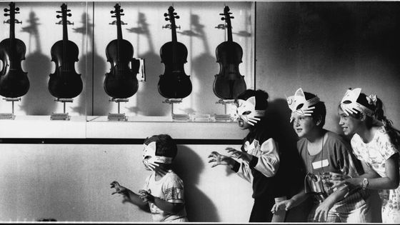 Le jeu du chat et de la souris ©Getty - Paul Matthews/Fairfax Media
