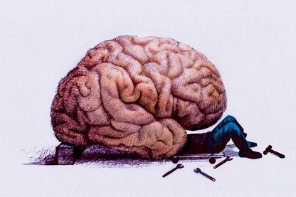 Métacognition : la science du fonctionnement du cerveau Métacognition : la science du fonctionnement du cerveau
