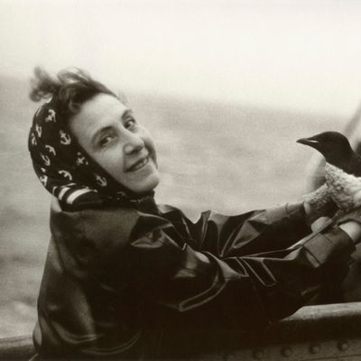 Anita Conti Terre-Neuve, 1952