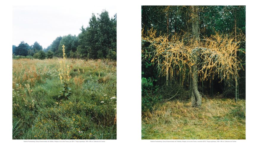 Pérégrinations : paysages : entre nature et histoire, Pierre Wat