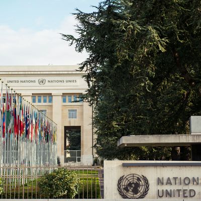 Image de drapeaux nationaux devant le siège des Nations Unies à Genève, en Suisse.
