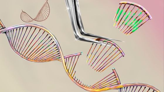 Les ciseaux moléculaires ©Getty - KEITH CHAMBERS/SCIENCE PHOTO LIBRARY