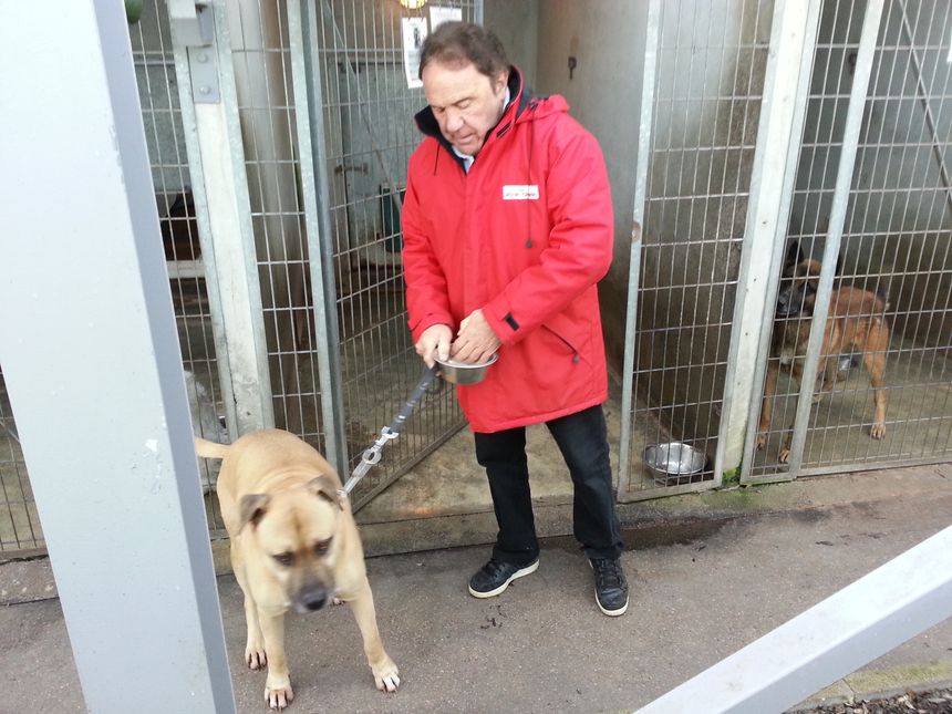 Pierre Porterat avec l'un des chiens de la SPA de Saint Etienne