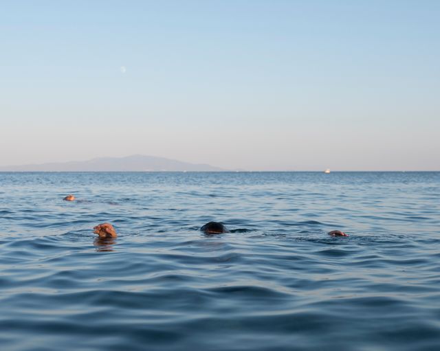 LESBOS, GRÈCE. Un réfugié originaire de Gaza nageant