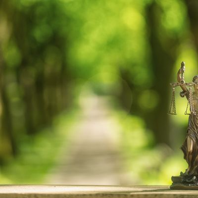 La protection de l’environnement, et ce n’est pas nouveau, est historiquement absente des grands textes et de la vision des Droits de l’Homme, à l’instar de la DUDH. Alors, comment articuler droits de l’homme et droit de l’environnement ?