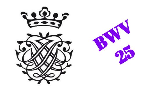 BWV 25 « Es ist nichts Gesundes an meinem Leibe »