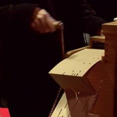 Strauss : Le Beau Danube Bleu (Arnaud Marzorati, orgue de Barbarie)