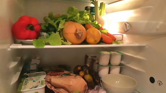 Au lieu de jeter redonner autour de soi les produits alimentaires que l'on ne pourra utiliser ©Radio France - Emmanuel Moreau
