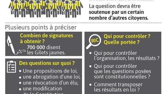 Les Gilets jaunes veulent des « RIC » : de quoi s'agit-il ? ©Visactu