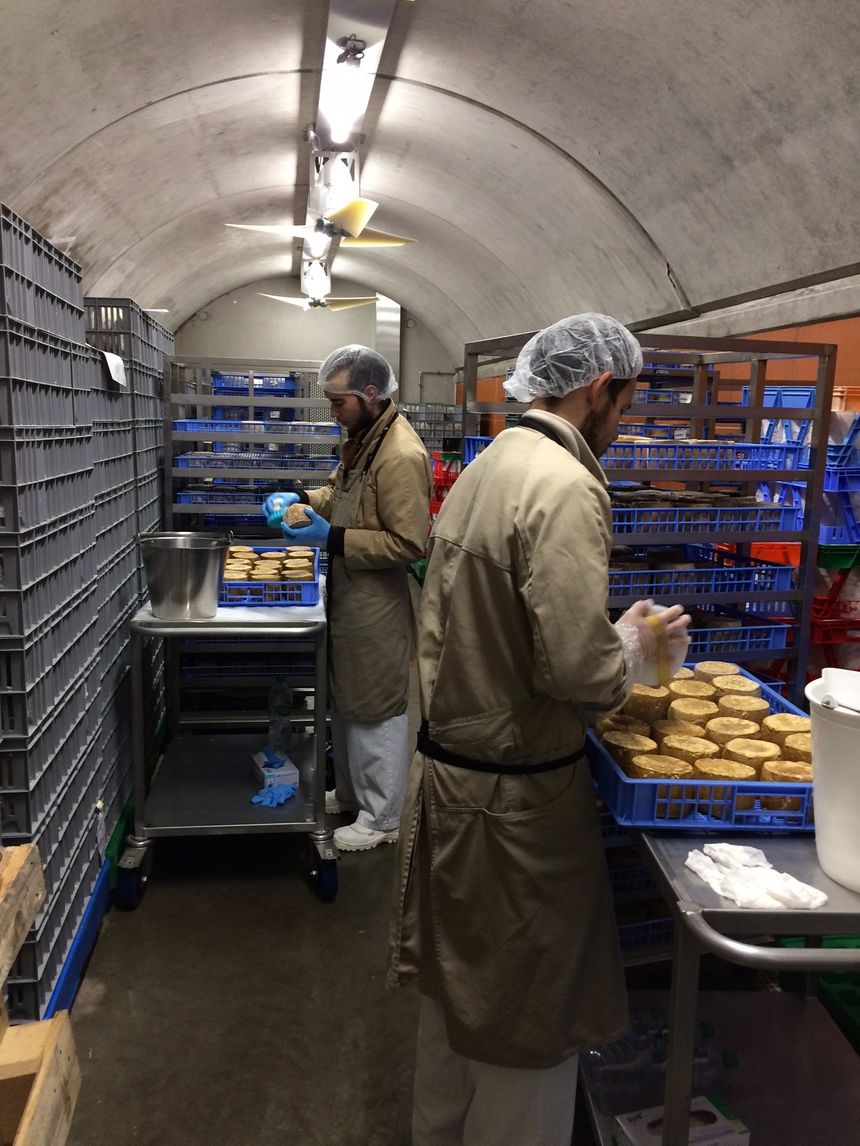Les soins apportés aux fromages par les employés de la Maison Mons