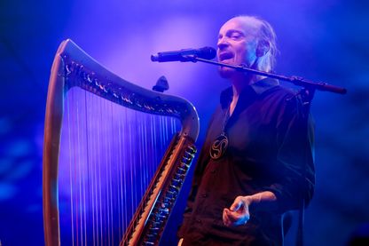 Alan Stivell, auteur-compositeur-interprète et musicien, Alan Stivell, auteur-compositeur-interprète et musicien,