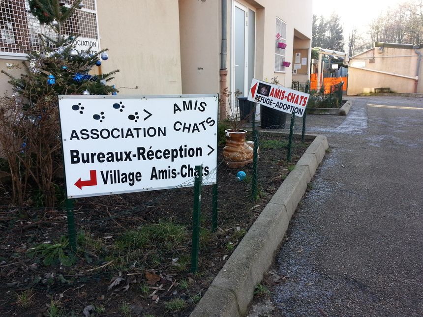 Les bureaux d'accueil de la SPA de Saint Etienne