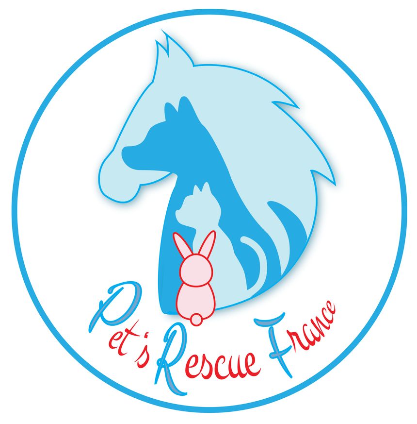 Vous les avez, peut-être, croisés au marché de Noël d'Aubusson ? Ils collectent des fonds pour ouvrir leur propre refuge notamment