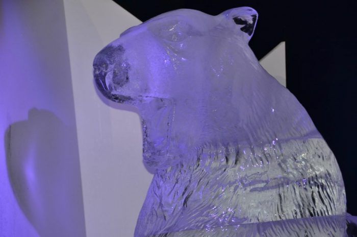 Des sculptures sur glace sont présentées dans une féérie polaire.
