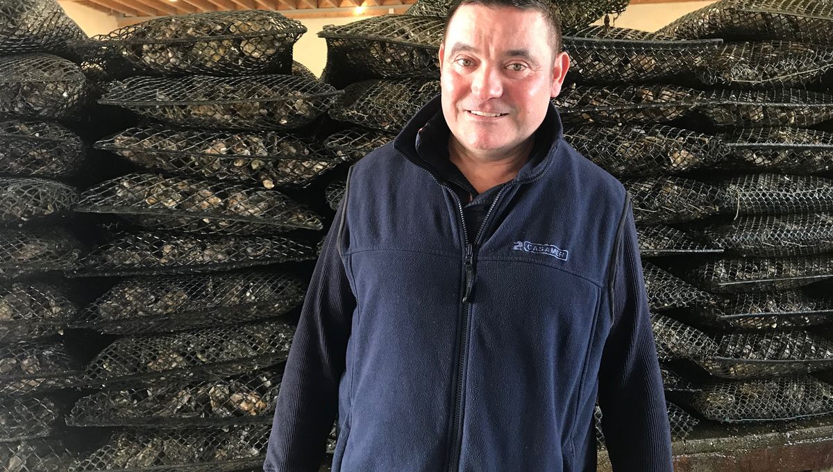 Les Parcs Saint Vaast Le Naissin Ou L Autre Nom Du Bebe Huitre