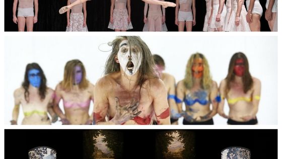 de haut en bas : "Le lac des cygnes" (© Agathe Poupeney), "SAISON SÈCHE" (© Christophe Raynaud de Lage) et "Romances Incertios, un autre Orlando" (© Nino Laisné)