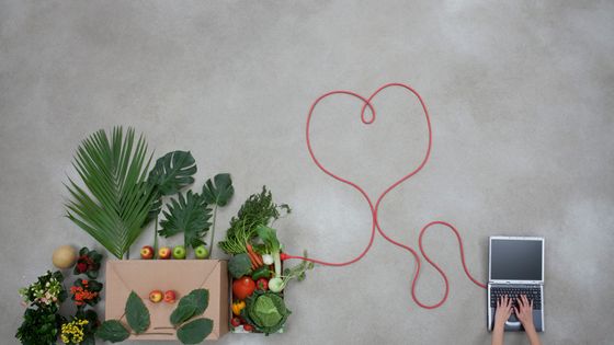 Une épicerie en ligne qui vend ses produits à prix coûtant, sans marge donc, avec à la clé des tarifs 25 à 50% moins cher ©Getty