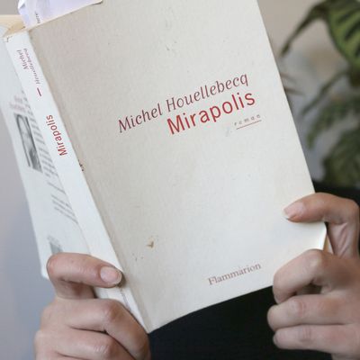 "Mirapolis" de Michel Houellebecq est publié aux éditions Flammarion (2026)