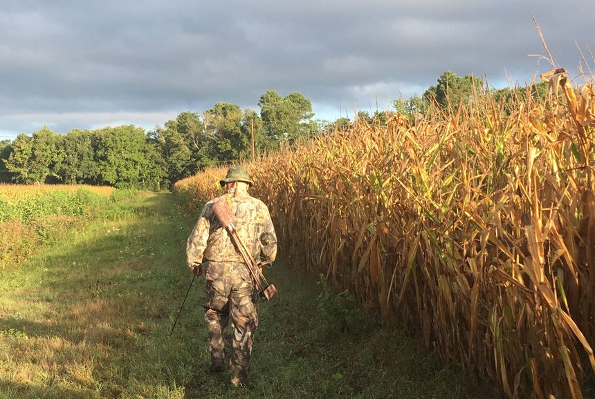 Les chasseurs à l'arc des Landes, des amoureux de la nature et des animaux.