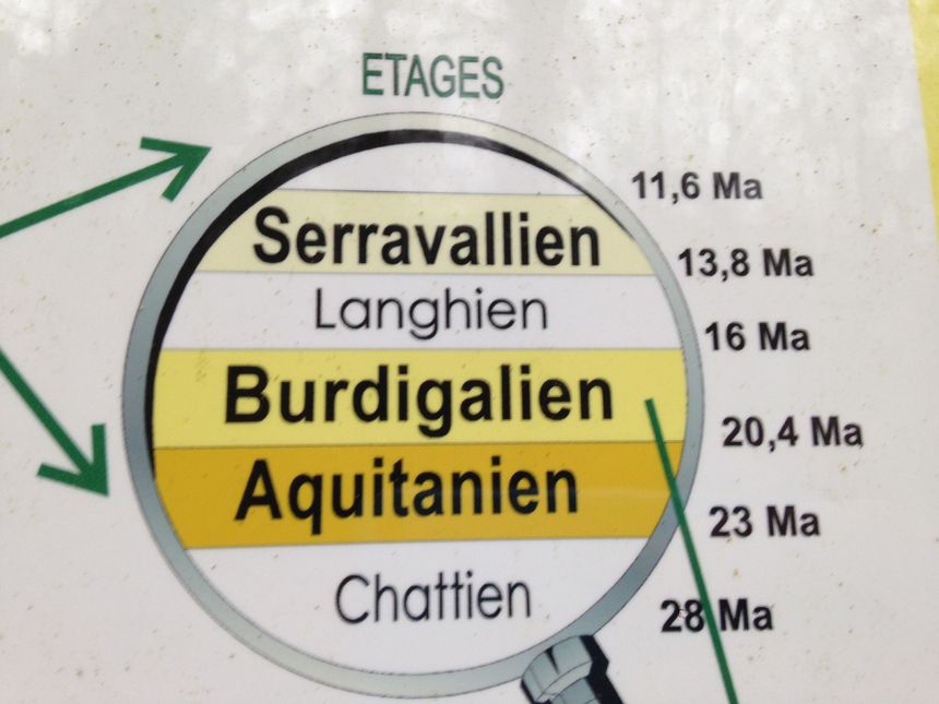 Des époques géologiques ont été nommées en référence à notre région.