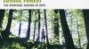Nicola Conte Presents Cosmic Forest : The Spiritual Sound Of MPS
