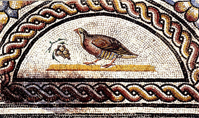Perdrix picorant une grappe de raisin, dernier quart du IIe siècle, détail de la Mosaïque des cratères et des oiseaux, à Vienne