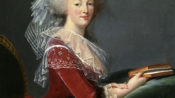 Marie-Antoinette au livre - portrait par E. Vigée Le Brun (1785) ©Getty - Heritage Images