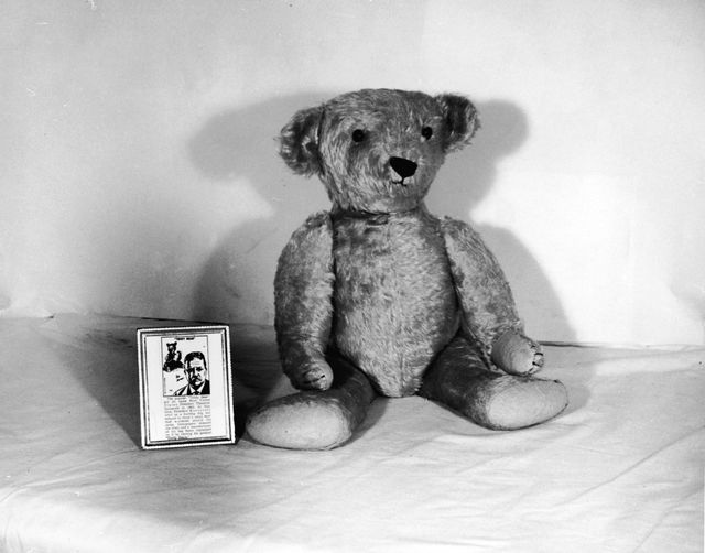 Teddy-bear