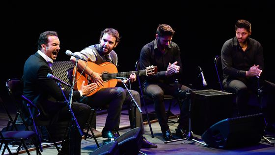 Dani de Moron (guitare) au Festival Flamenco de Nîmes 2019 - Suroeste Radio France