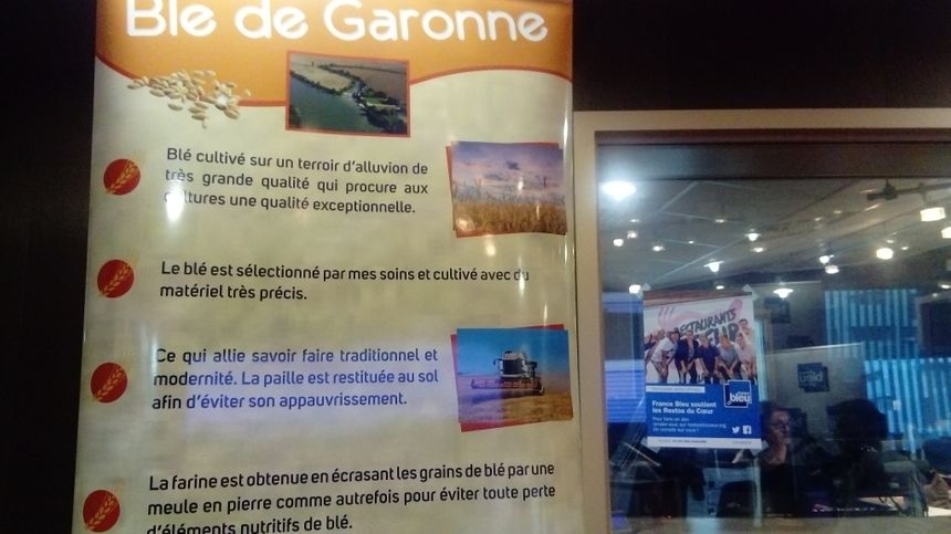 Blé de Garonne