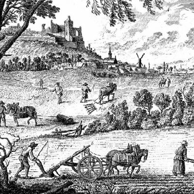 Agriculture, labourage - L'Encyclopédie, ou dictionnaire raisonné des sciences, des arts et des métiers, par une Société de gens de lettres (1751-80 Diderot)