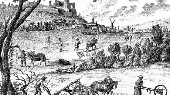 Agriculture, labourage - L'Encyclopédie, ou dictionnaire raisonné des sciences, des arts et des métiers, par une Société de gens de lettres (1751-80 Diderot) - (wikisource)