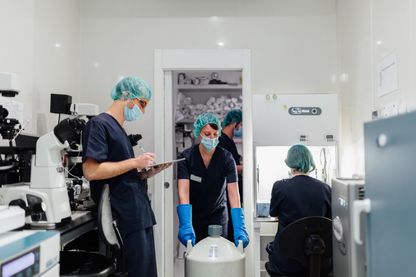 Dans une clinique de Madrid, où des femmes viennent faire congeler leurs ovocytes Dans une clinique de Madrid, où des femmes viennent faire congeler leurs ovocytes