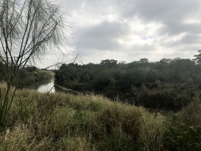 On est à Brownsville, Texas, à la frontière mexicaine, au bord du fleuve Rio Grande.
