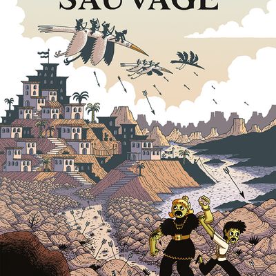 Un gentil orc sauvage. Théo Grosjean. Editions Delcourt