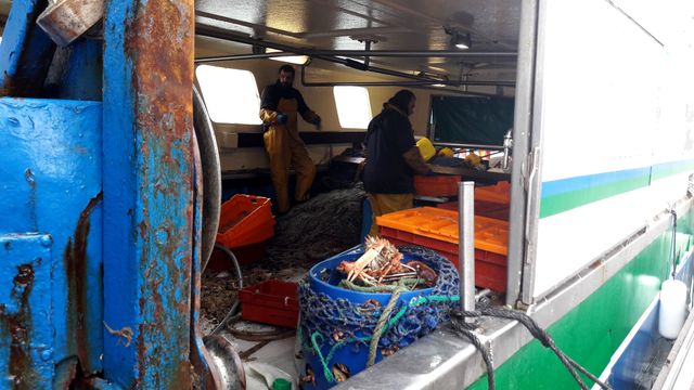 Retour de pêche