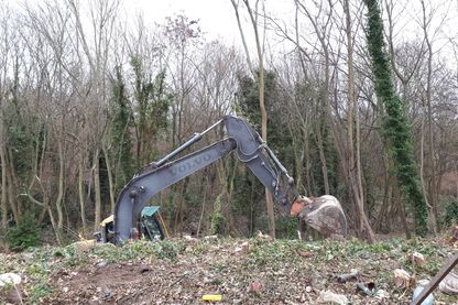 Forêt de Rambouillet : 4,3 ha vont être déboisés Forêt de Rambouillet : 4,3 ha vont être déboisés