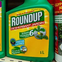 Même si elle n'est pas inscrite dans la loi, le gouvernement déclare maintenir la sortie du glyphosate dans 3 ans