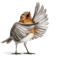 Tristan Garcia nous propose une brève et étonnante histoire de la voix